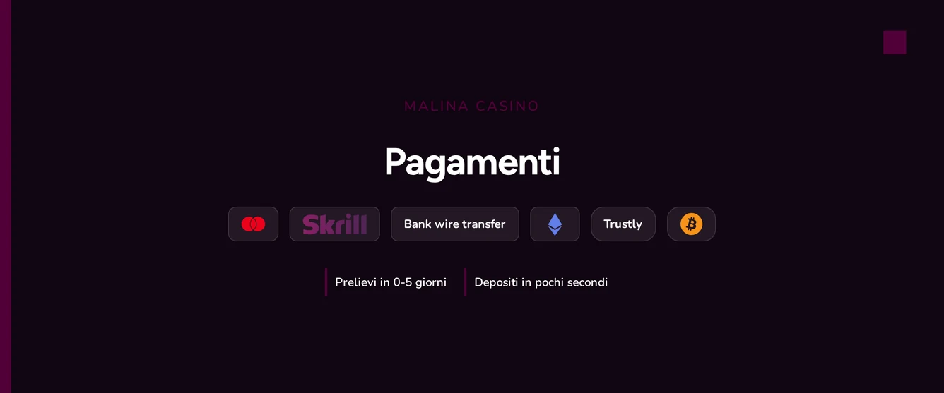 Usa metodi pagamento sicuri.